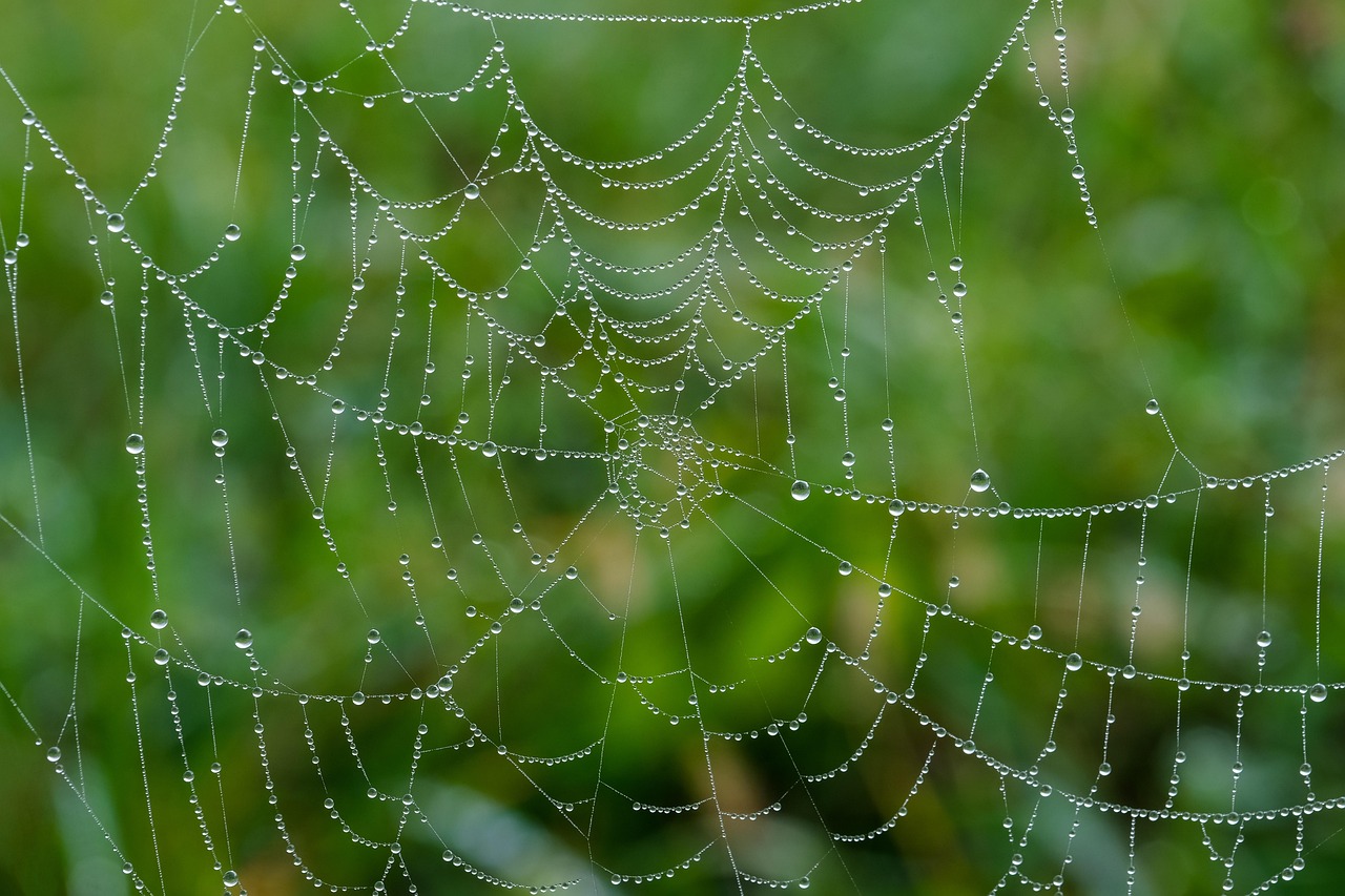 découvrez les meilleurs outils de développement web pour optimiser vos projets, améliorer votre productivité et créer des sites performants et innovants.