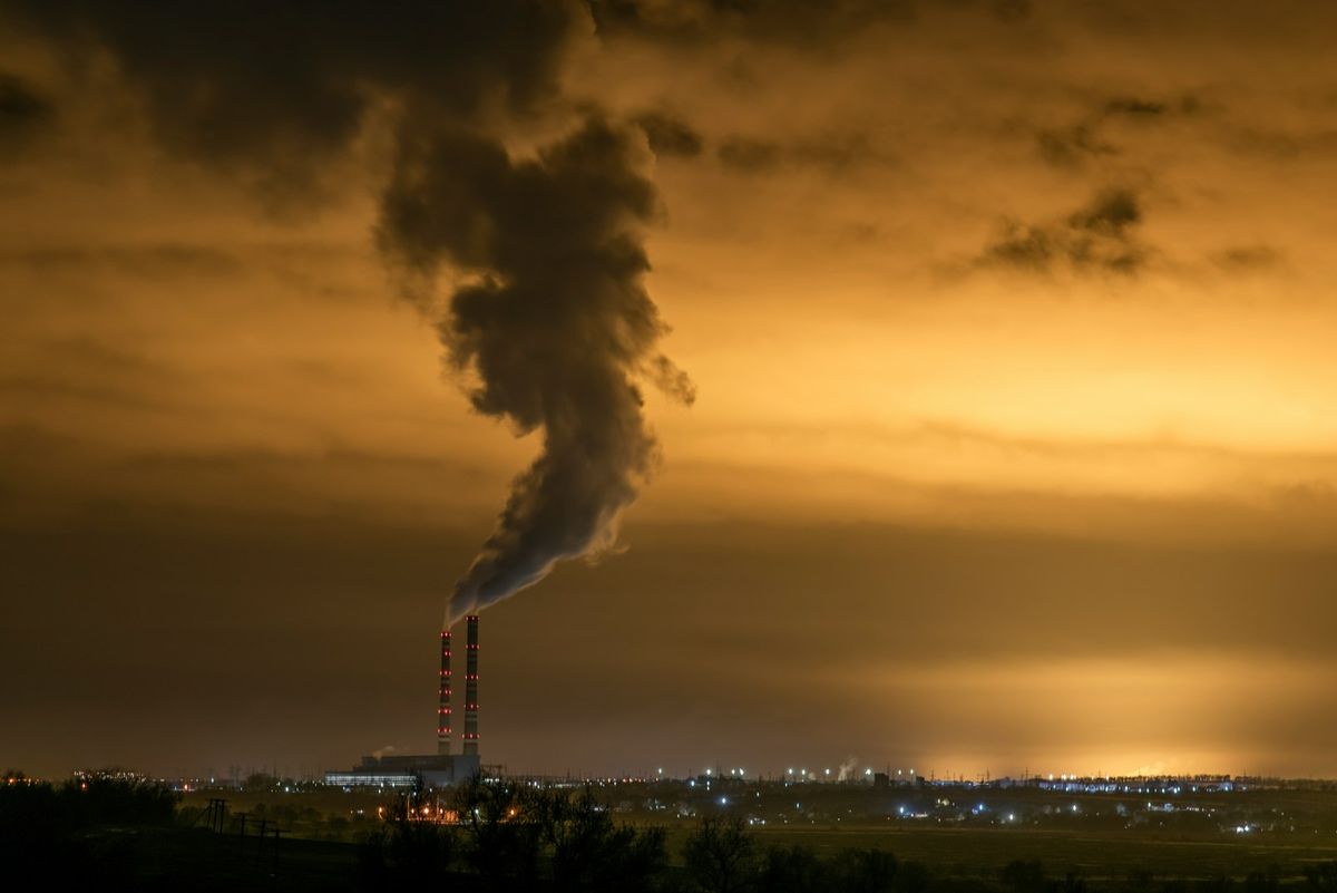 La compensation carbone en entreprise : un levier stratégique pour la transition écologique